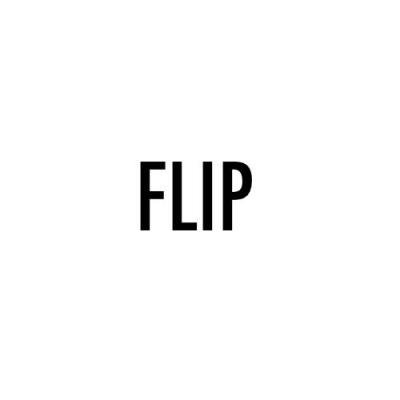 DJI Flip photo