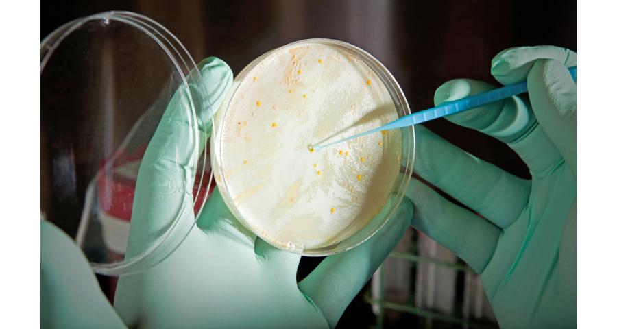 Your Smartphone Is Making You Sick: 4 Ways to Clean It